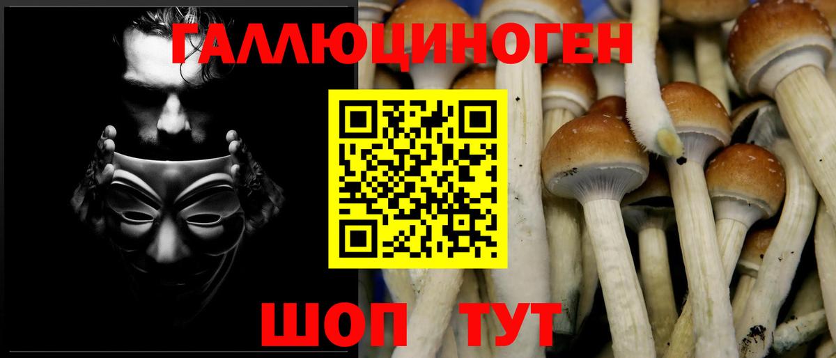 Волжск  Галлюциногенные грибы Psilocybine cubensis  Вход с VPN  наркота  Псилоцибиновые грибы Psilocybe 